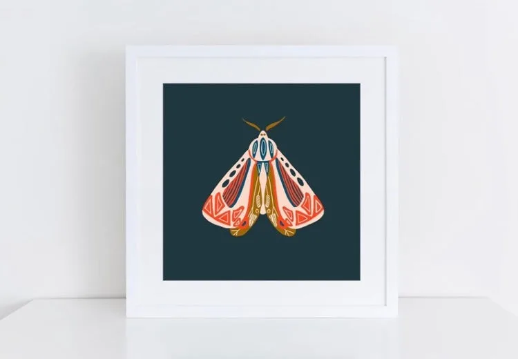 Illustrated moth with orange and red striped wings against a dark teal background, ink and watercolor on paper.