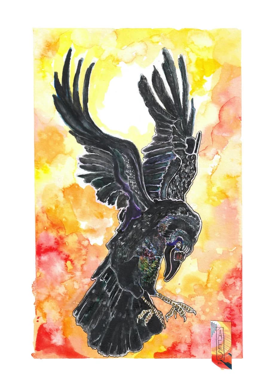Black cockatoo with extended wings set against a luminous yellow, orange, and red watercolor sky.