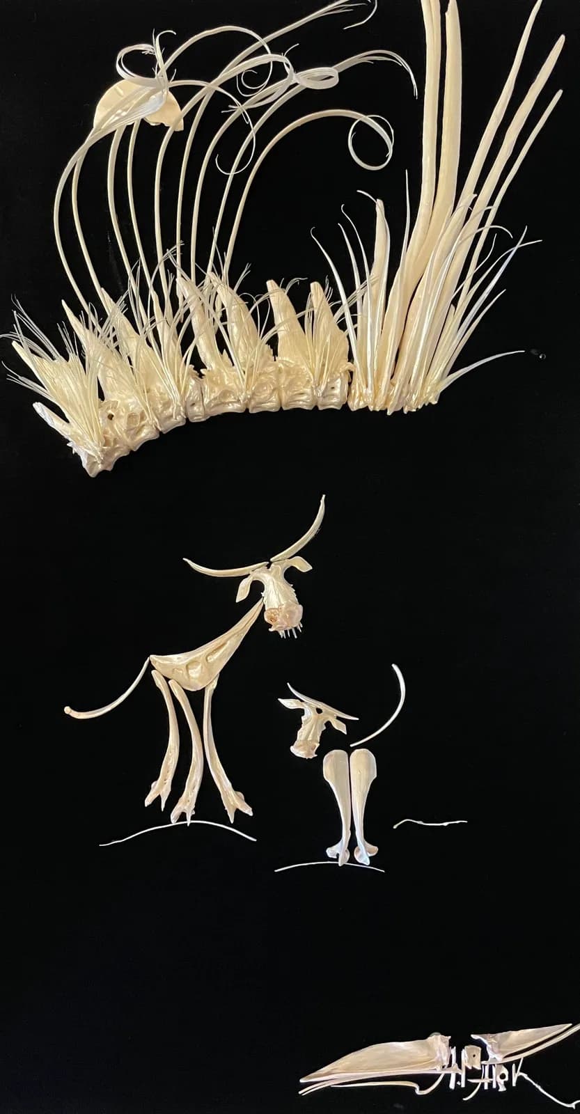 Ink drawing of fantastical plant forms with elongated stems and organic curling tendrils on black paper.