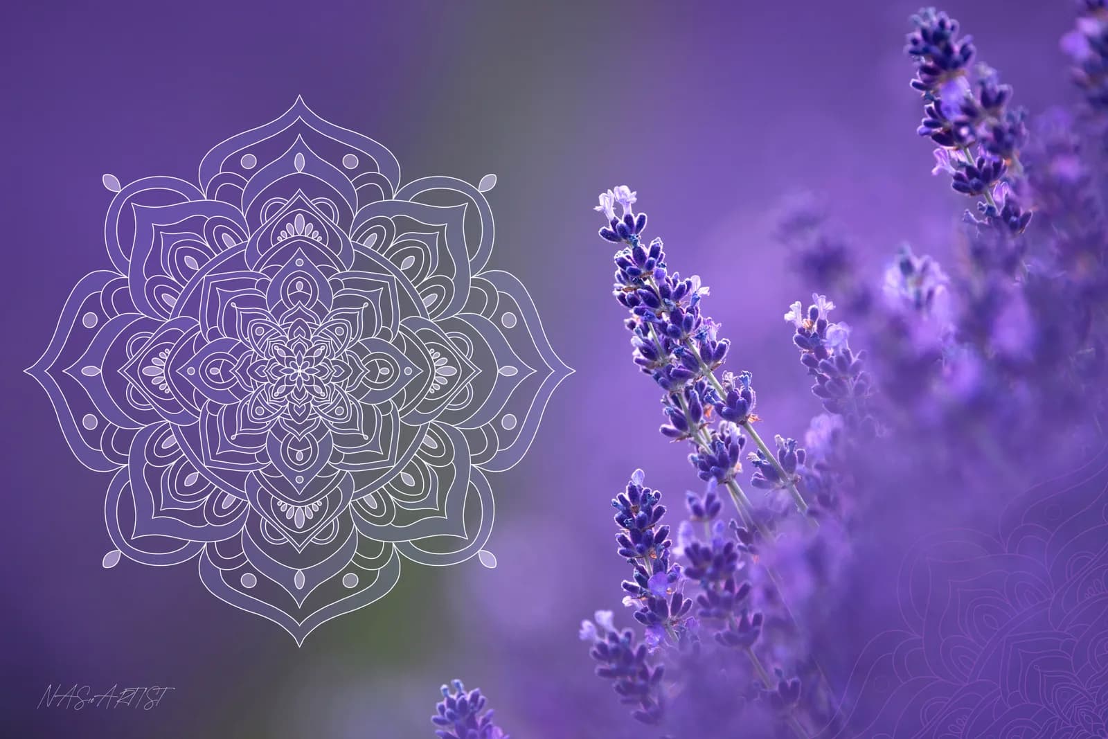 A geometric mandala design overlays a soft-focus field of purple lavender flowers in digital art.