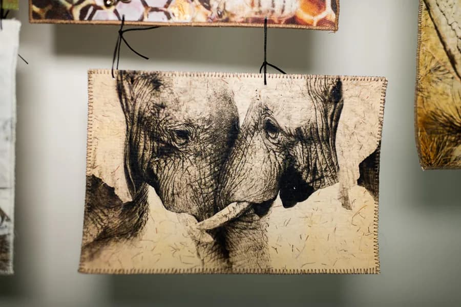 Untitled artwork by Andra Stanton