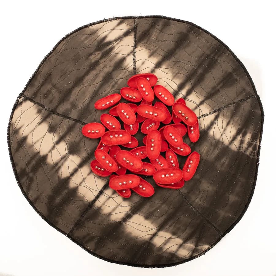Red beans arranged on a dark quilted textile with shadow play and organic geometry.