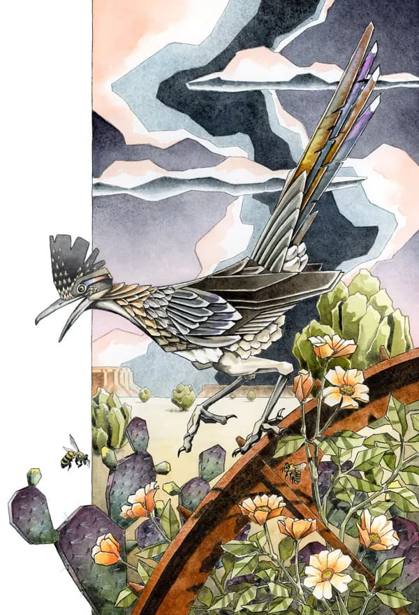A roadrunner perched on a rust-colored branch among desert wildflowers and prickly pear cacti rendered in watercolor.