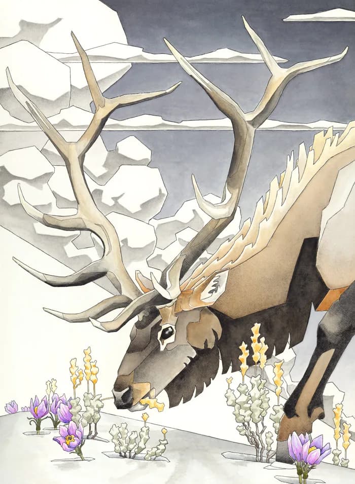 An elk with sprawling antlers browses alpine flowers in a snowy landscape rendered in watercolor.