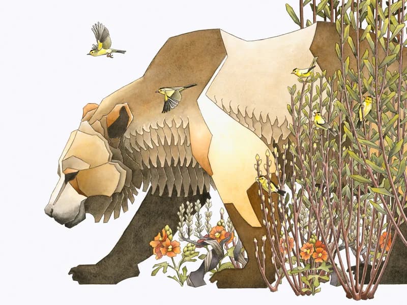 A stylized bear composed of feathered wings, birds, and golden wildflowers in ink and watercolor.