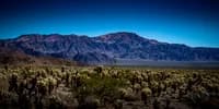 Desert mountain landscape beneath a deep blue dawn sky with arid scrubland foreground, archival photographic print.