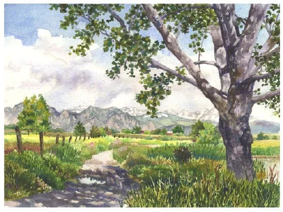 Untitled artwork by Anne Gifford