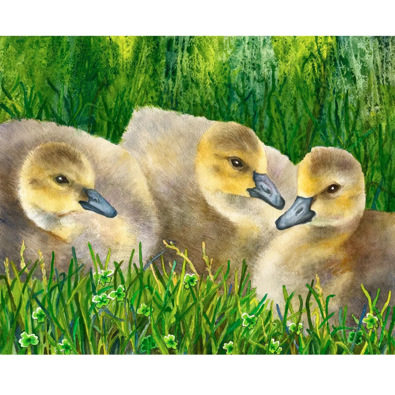 Three young goslings with pale plumage and dark bills rest in tall grass with white flowers.