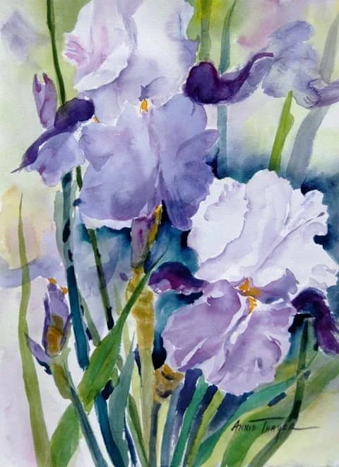 Purple and white irises in watercolor with soft washes and green stems.