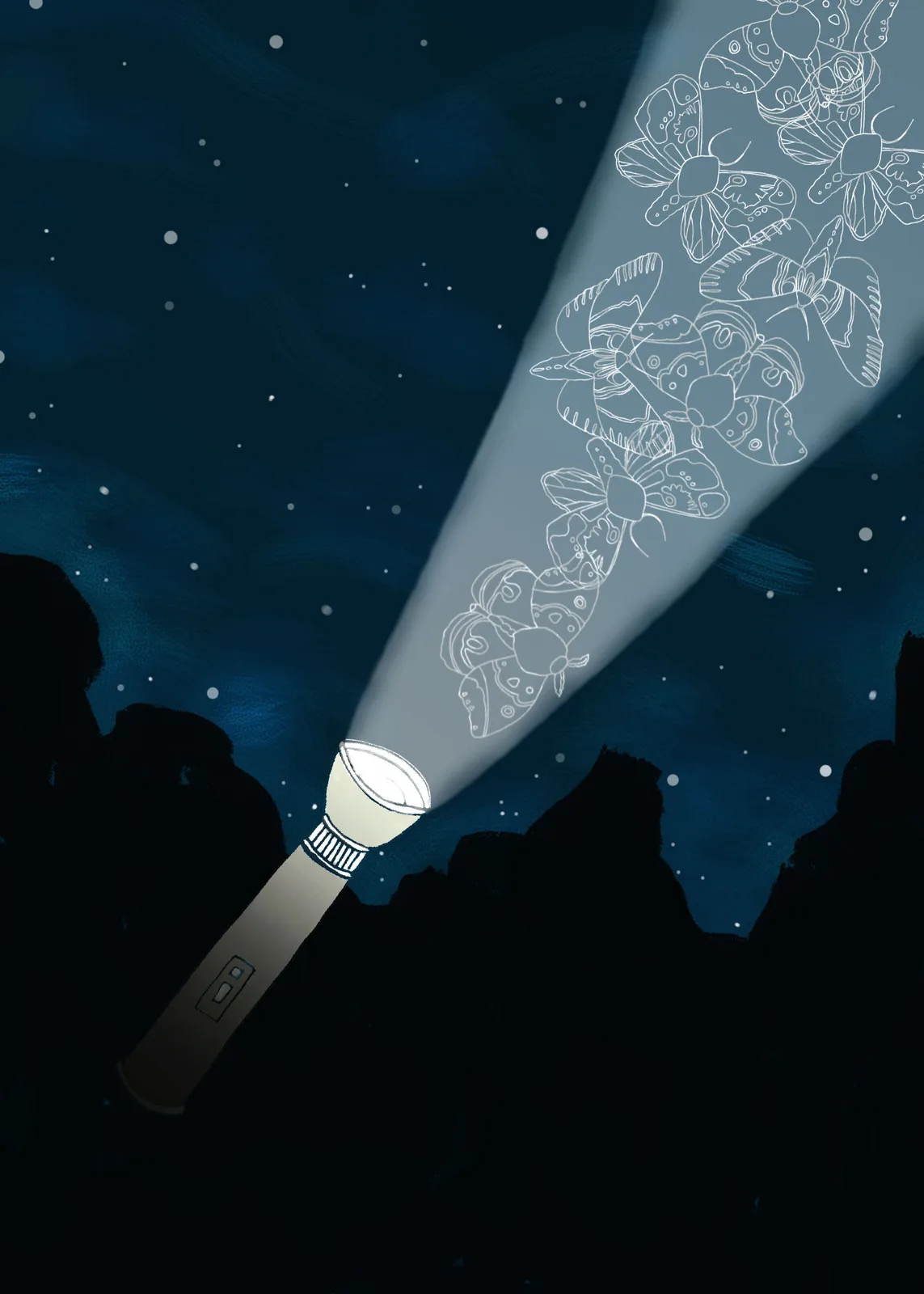 A flashlight beam illuminates whimsical line-drawn insects against a starry night sky.