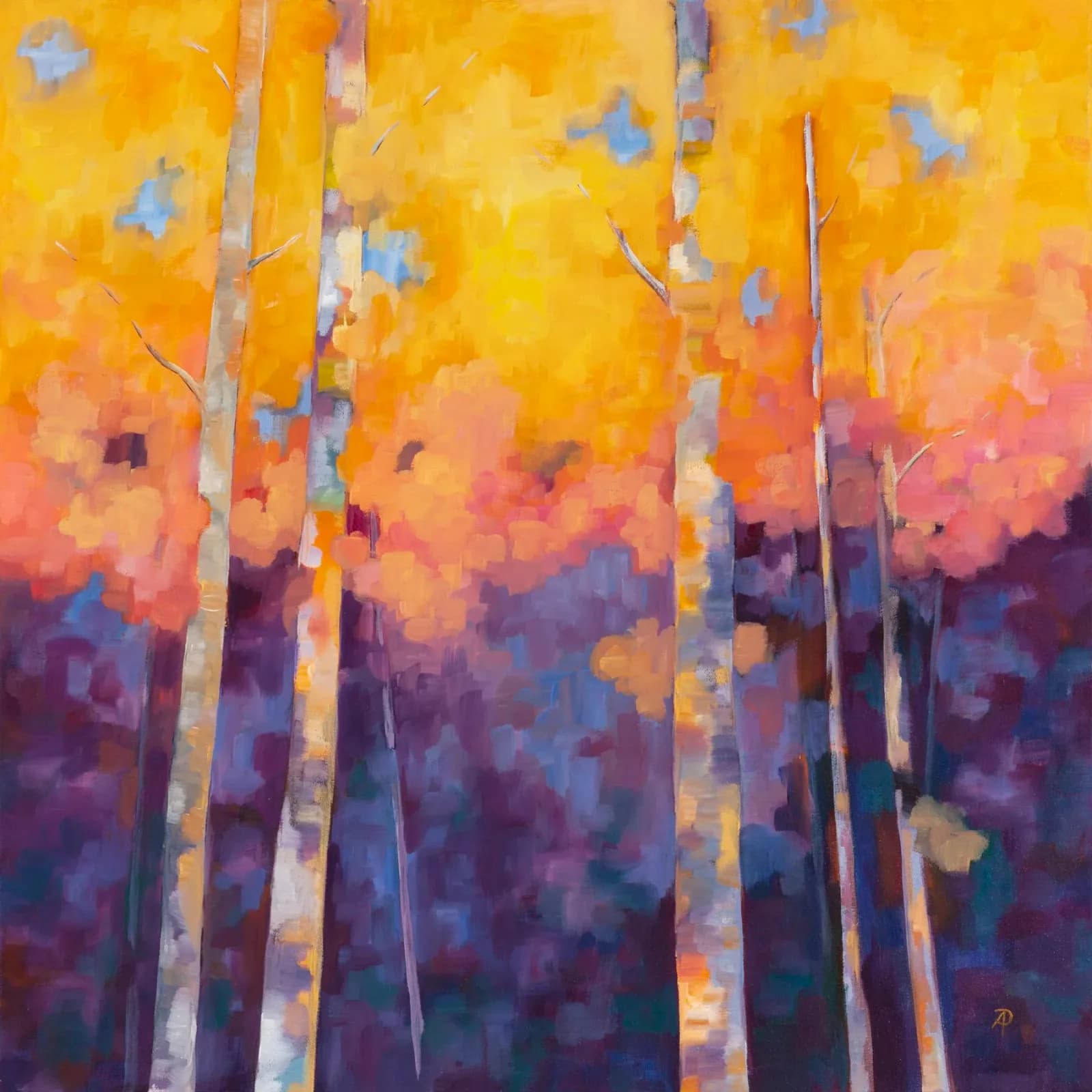 A forest of white-barked aspen trees glows beneath a warm, golden autumn sunset.