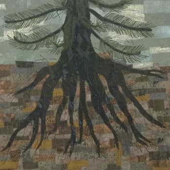 Untitled artwork by Barbara Olson