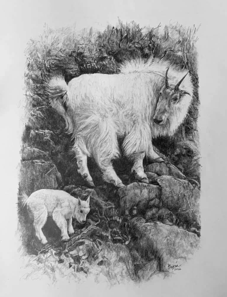 Mountain goat with kid on rocky alpine terrain, rendered in detailed graphite pencil.