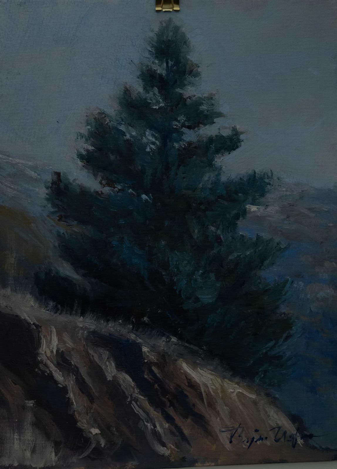 A dark evergreen stands on a tilted sandstone slope of the Boulder Flatirons at dusk, oil on canvas.