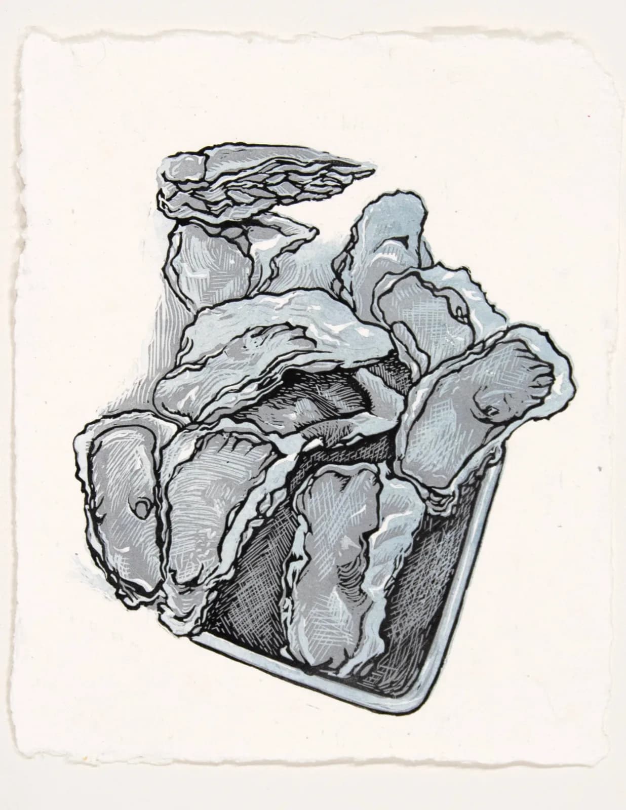 Ink drawing of oysters arranged in a shallow dish with cross-hatched shading and pen linework.