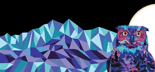 An owl with geometric plumage perches beside stylized Boulder Flatirons rendered in angular facets of blue, purple, and teal.