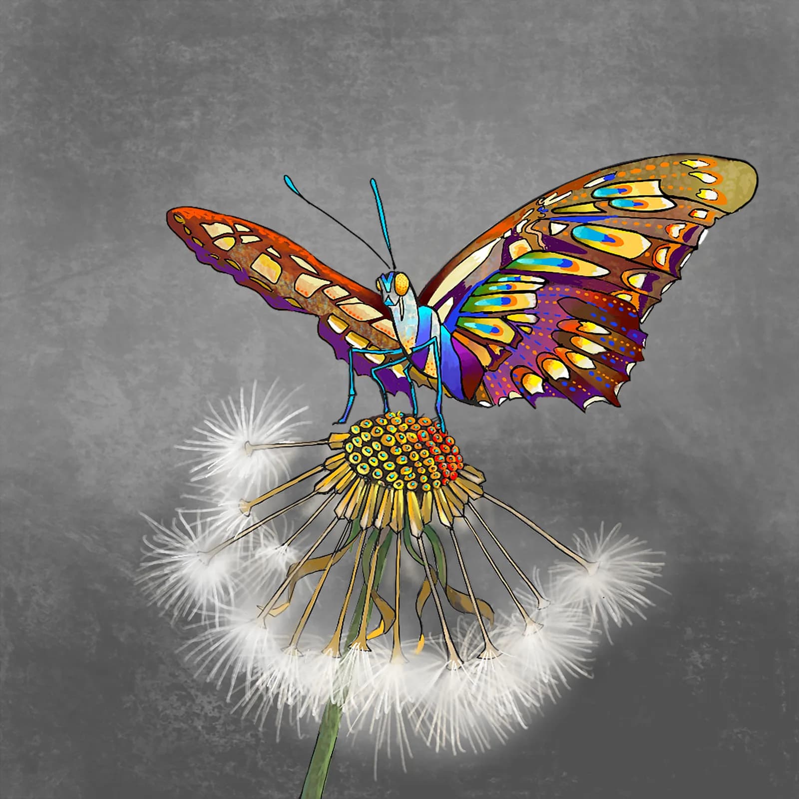 Colorful butterfly perched on a dandelion seedhead rendered in ink with vibrant wings.