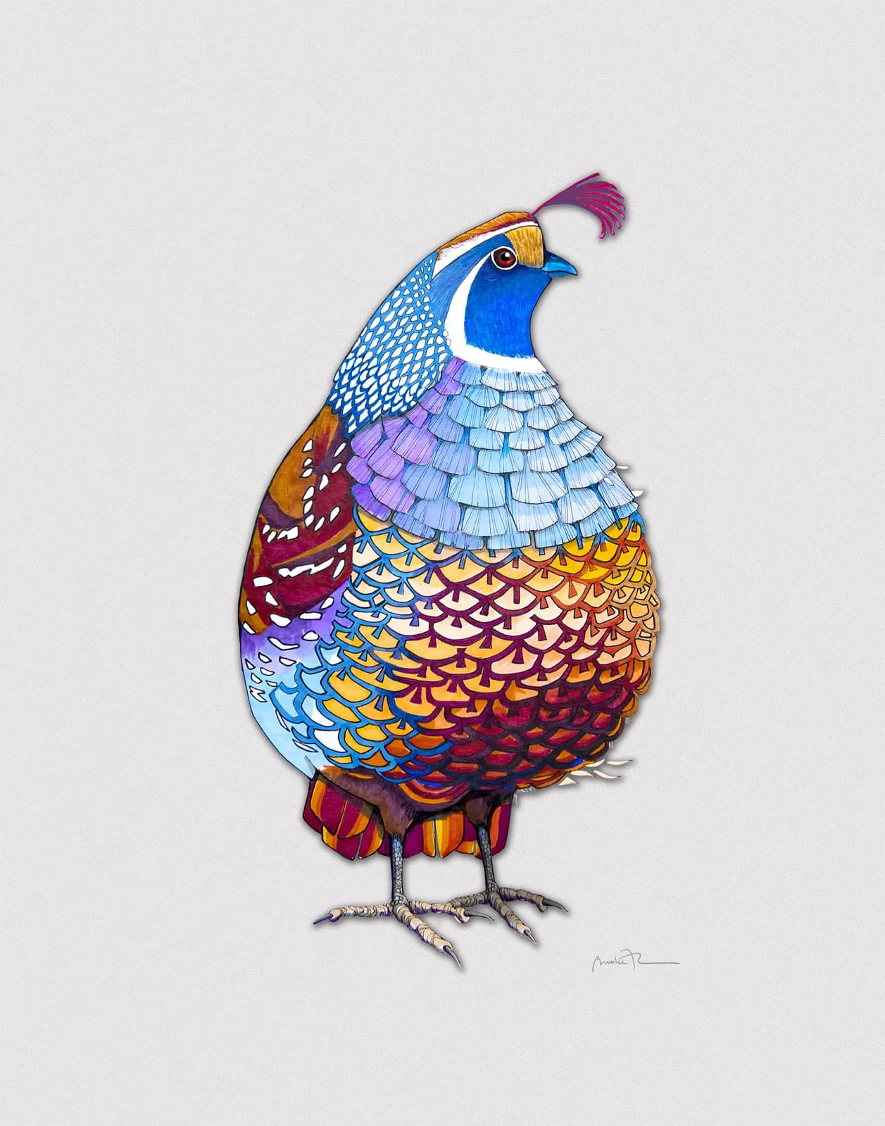 A colorful pheasant rendered in detailed pencil with vibrant blue, purple, and golden plumage.