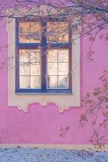 Blue-framed window set against a vibrant pink wall draped with ivy tendrils.