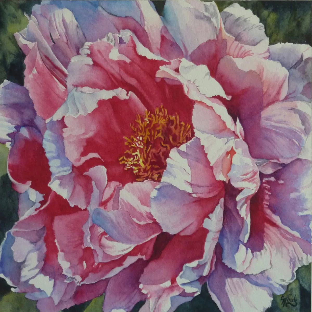 A layered pink and white peony with golden stamens rendered in watercolor.