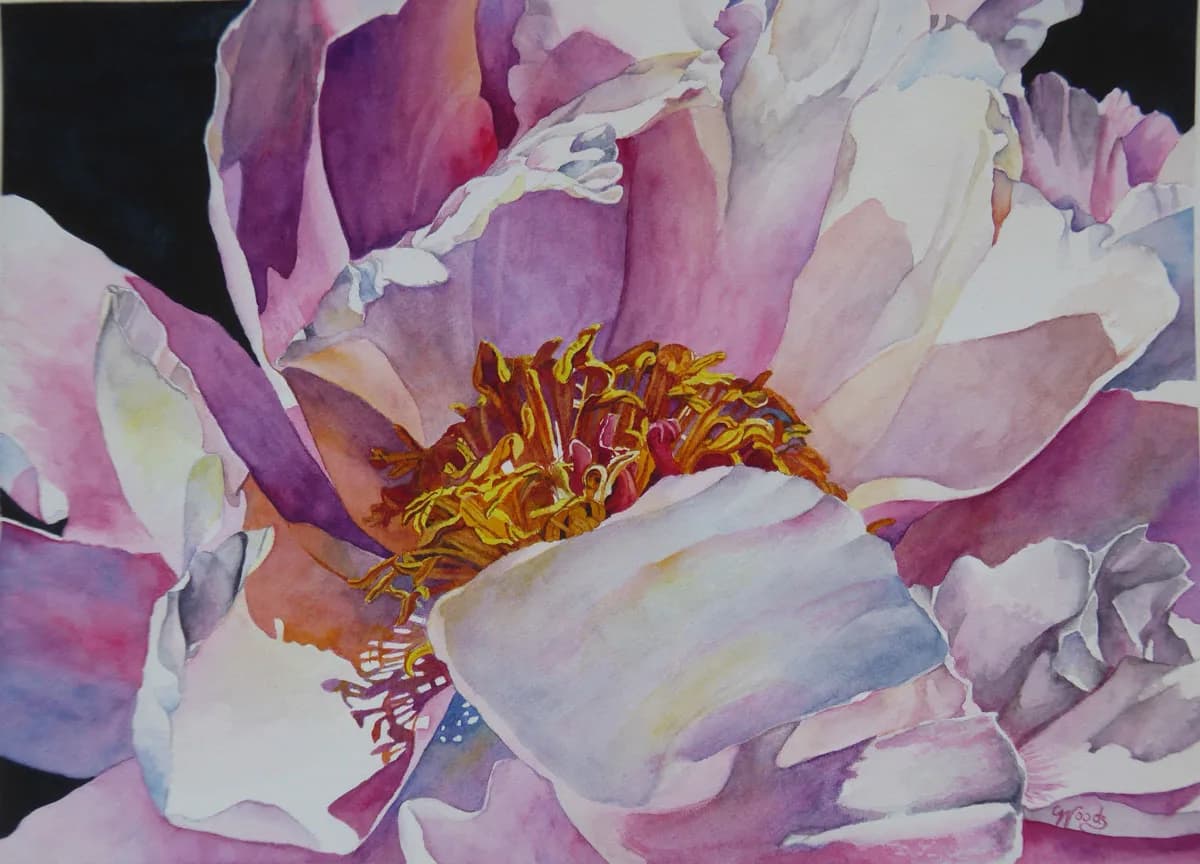 A delicate peony in soft purples and whites with a bold golden center, rendered in watercolor.