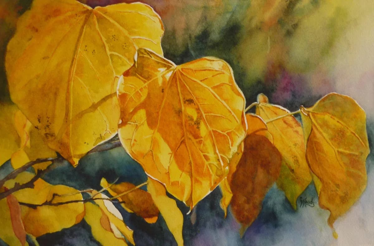 Watercolor study of golden lantern flowers with translucent petals and delicate vein details.
