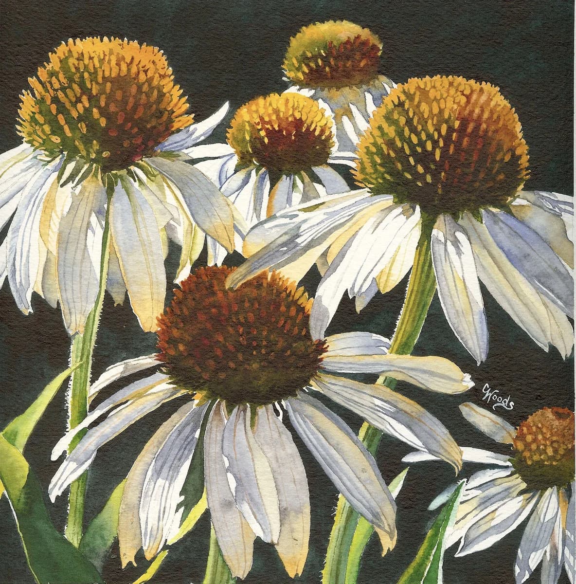 Untitled artwork by Catharine Woods