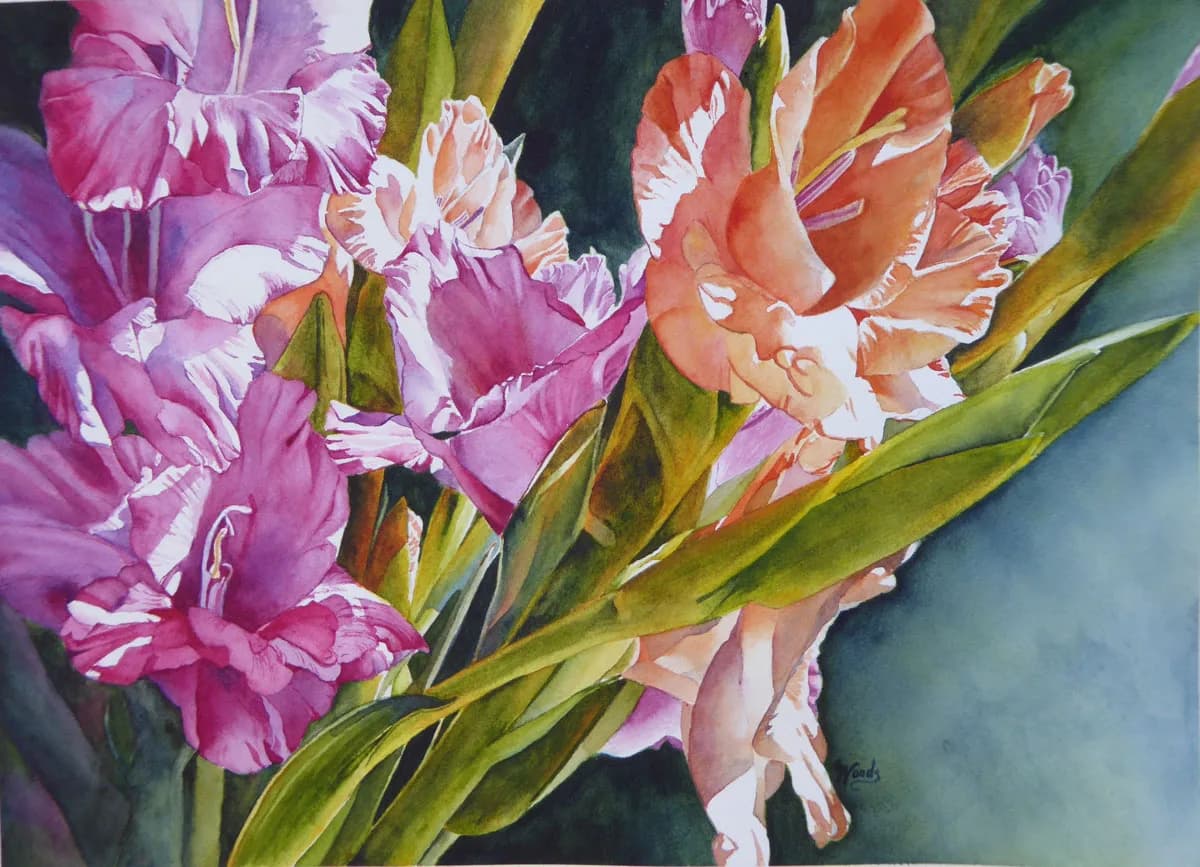 Watercolor study of pink, coral, and white gladiolus blooms with arching green stems against a soft background.