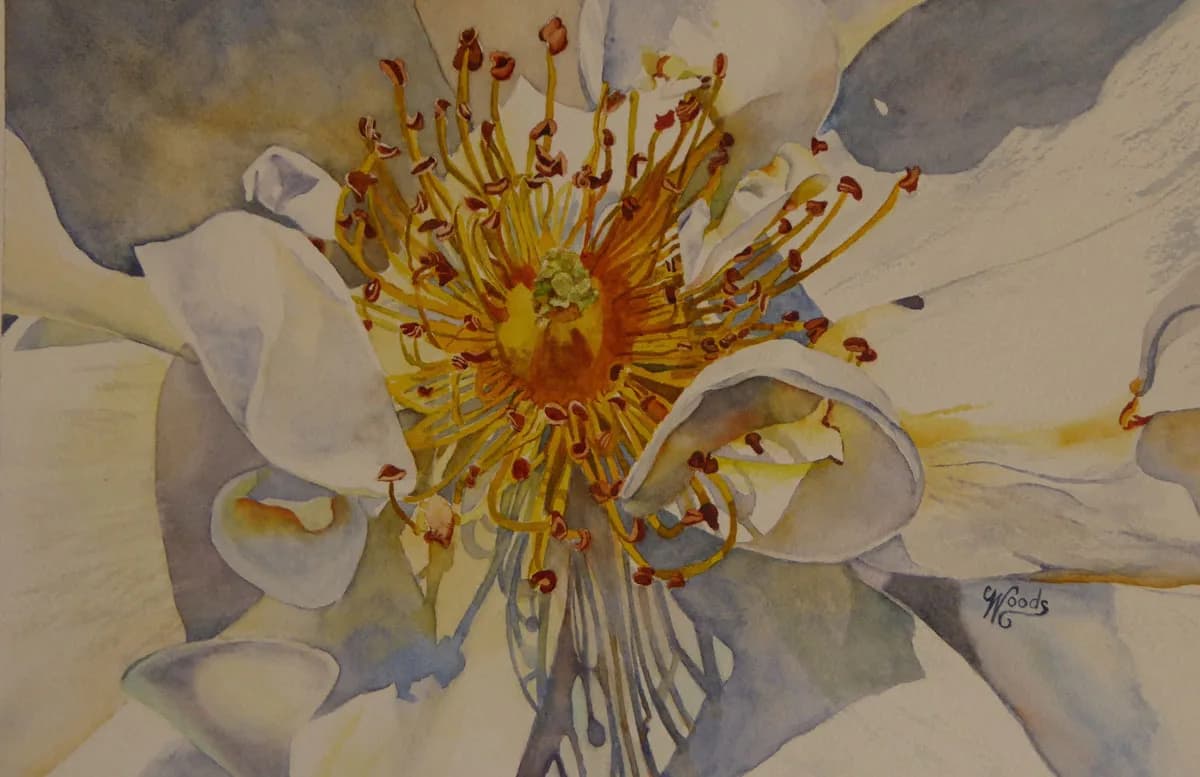 A close-up watercolor study of a flower with prominent yellow and red stamens and pale petals.