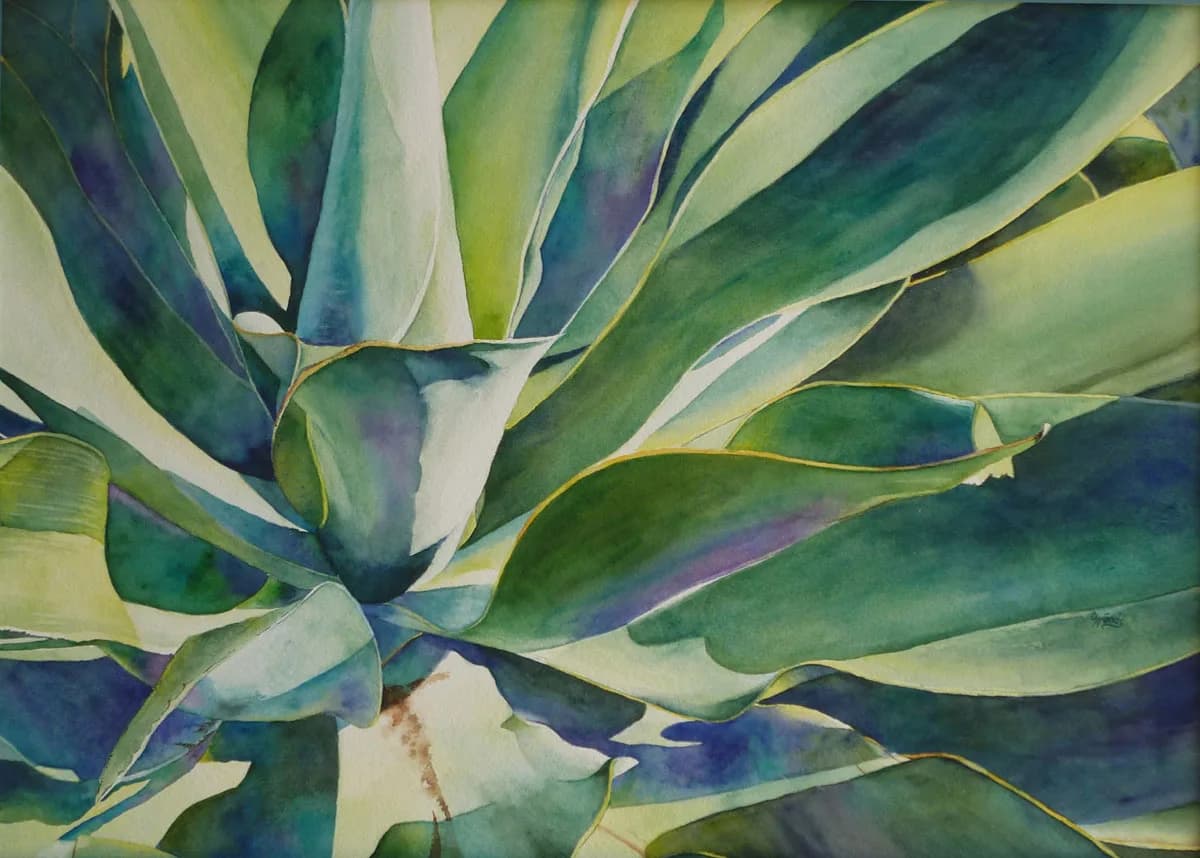 Watercolor painting of an agave plant with layered green and blue-toned leaves radiating from the center.