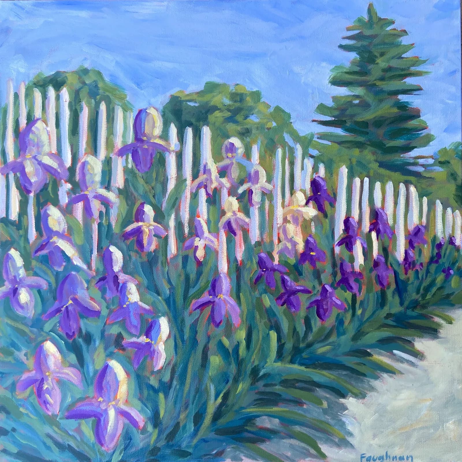 Purple irises bloom along a white picket fence beside an evergreen in this acrylic garden scene.