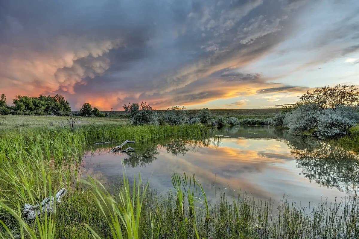 Wetland landscape with marsh grasses, still water, and dramatic sunset sky reflected below.