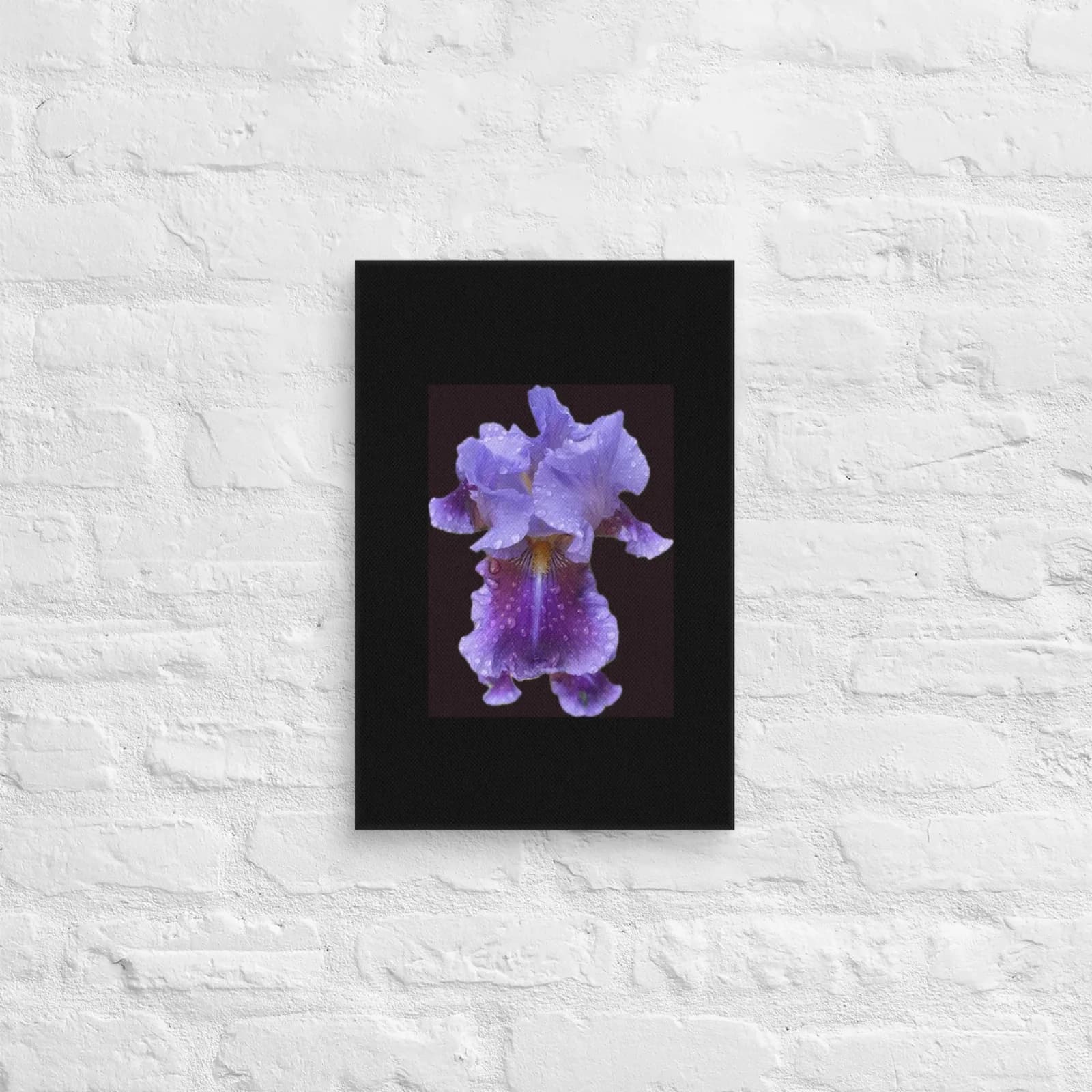 Purple iris blossom photographed in high detail against a dark ground, printed on paper.