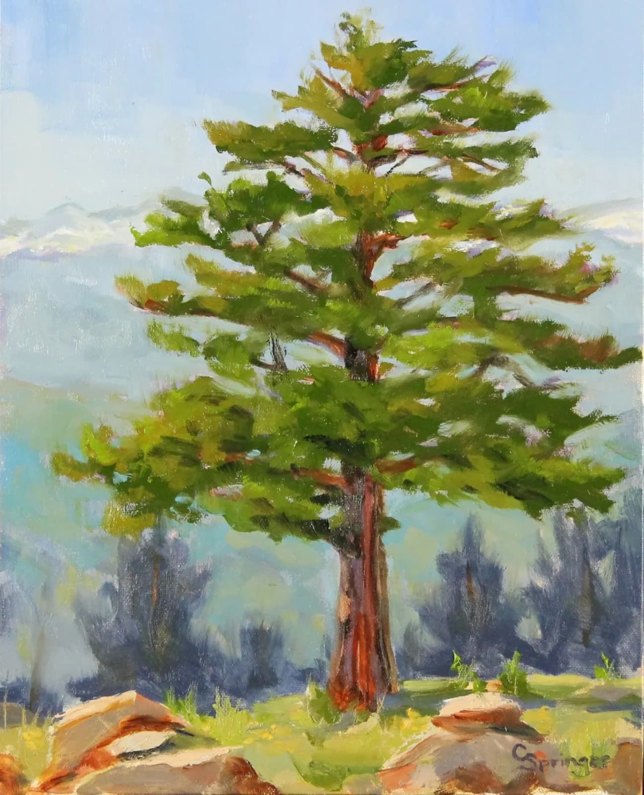 A lone pine tree in soft light dominates a misty mountain landscape with distant conifers.