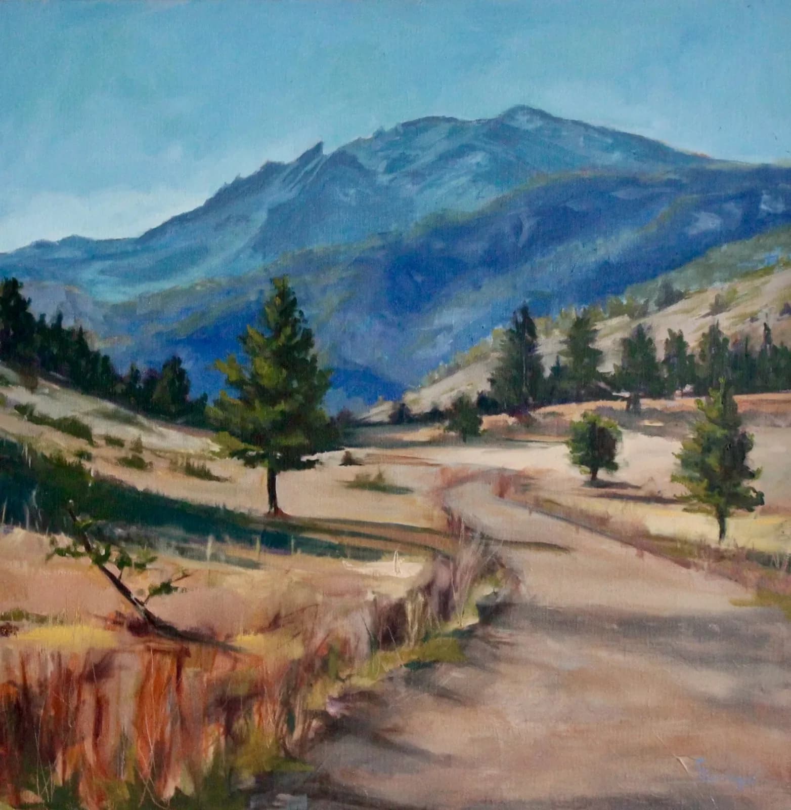 A winding path cuts through a valley toward the Boulder Flatirons in soft afternoon light.