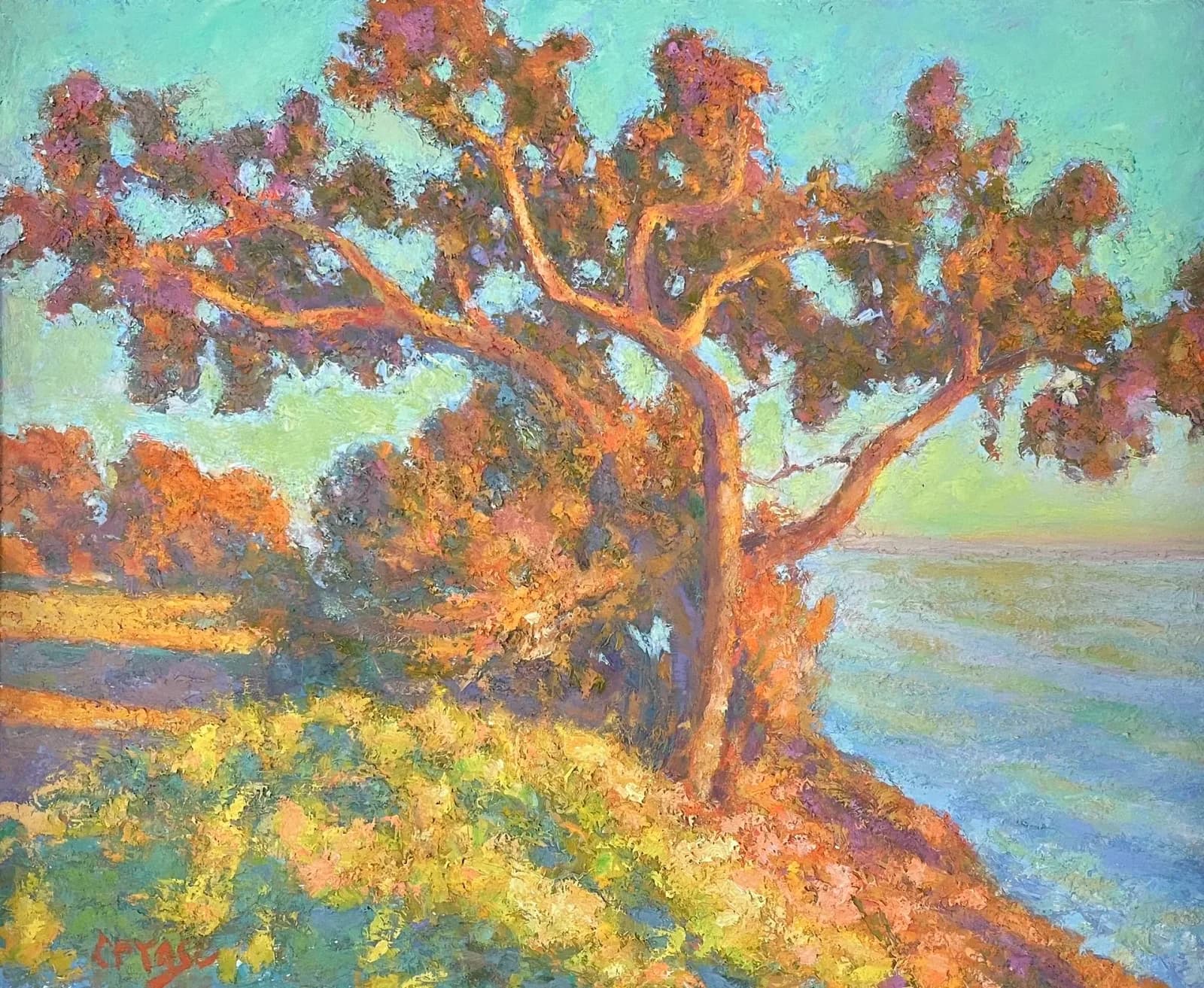 Untitled artwork by Chuck Ceraso