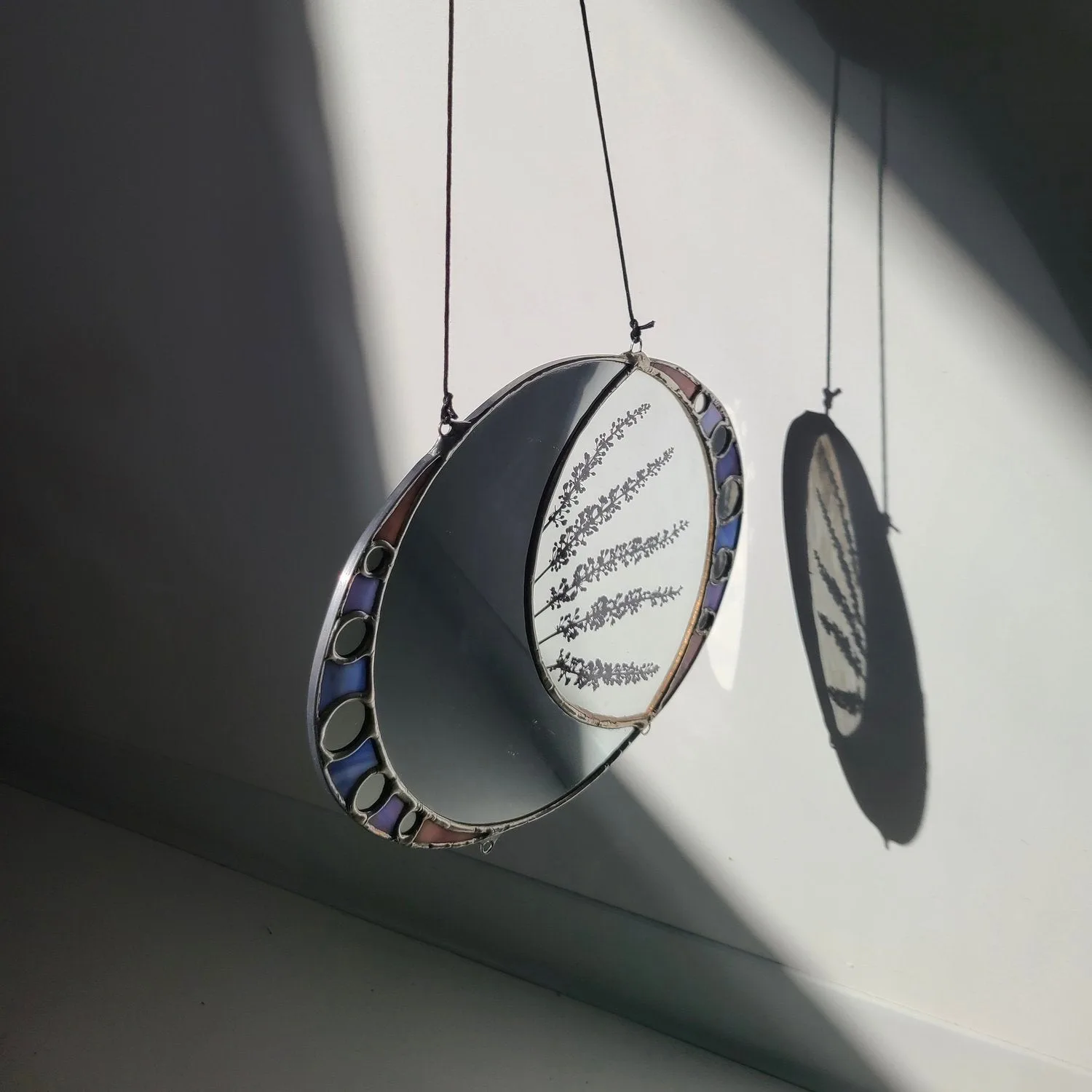 Glass-framed pressed botanical specimens suspended by wire, casting delicate shadows on white wall.