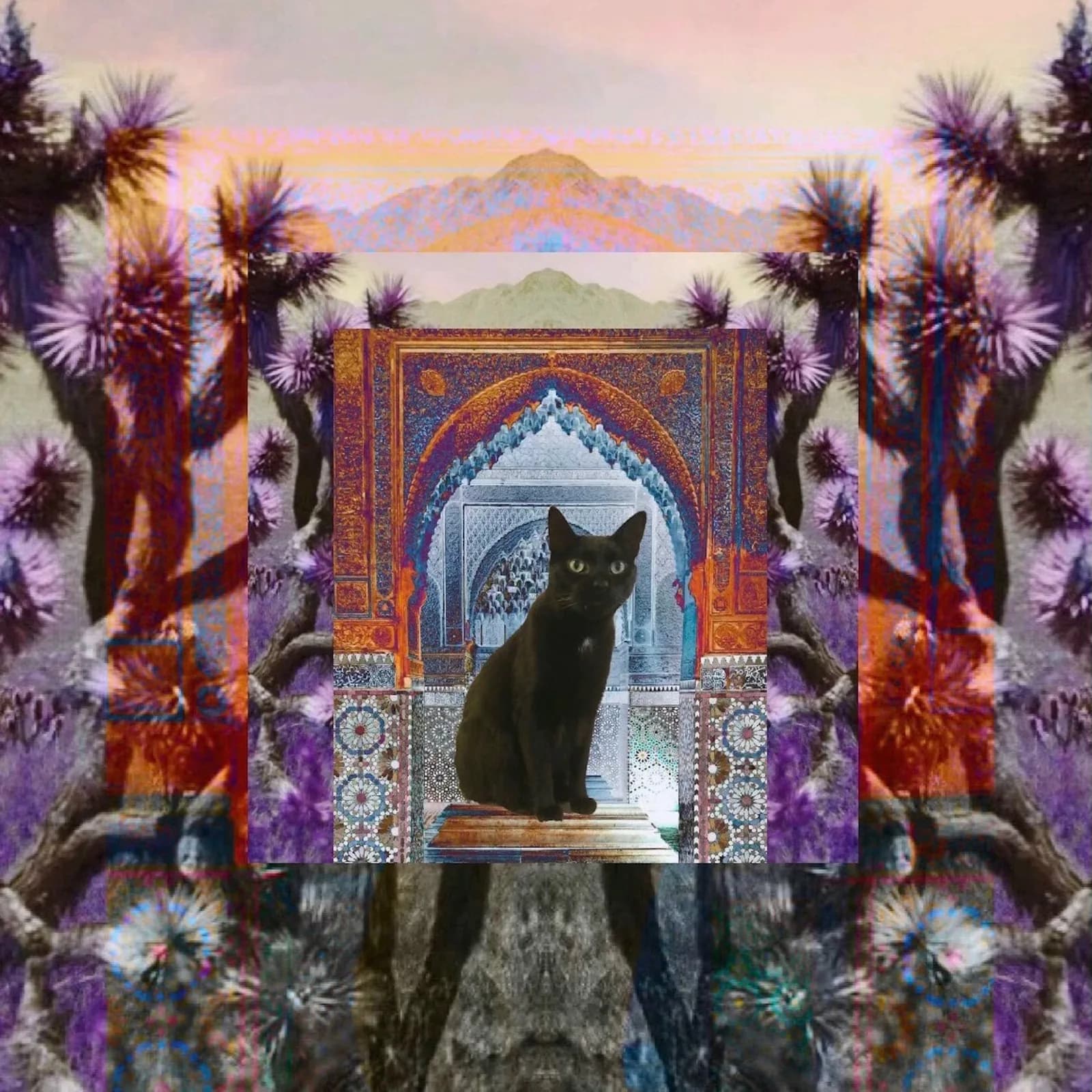 Untitled artwork by Claire Ibarra
