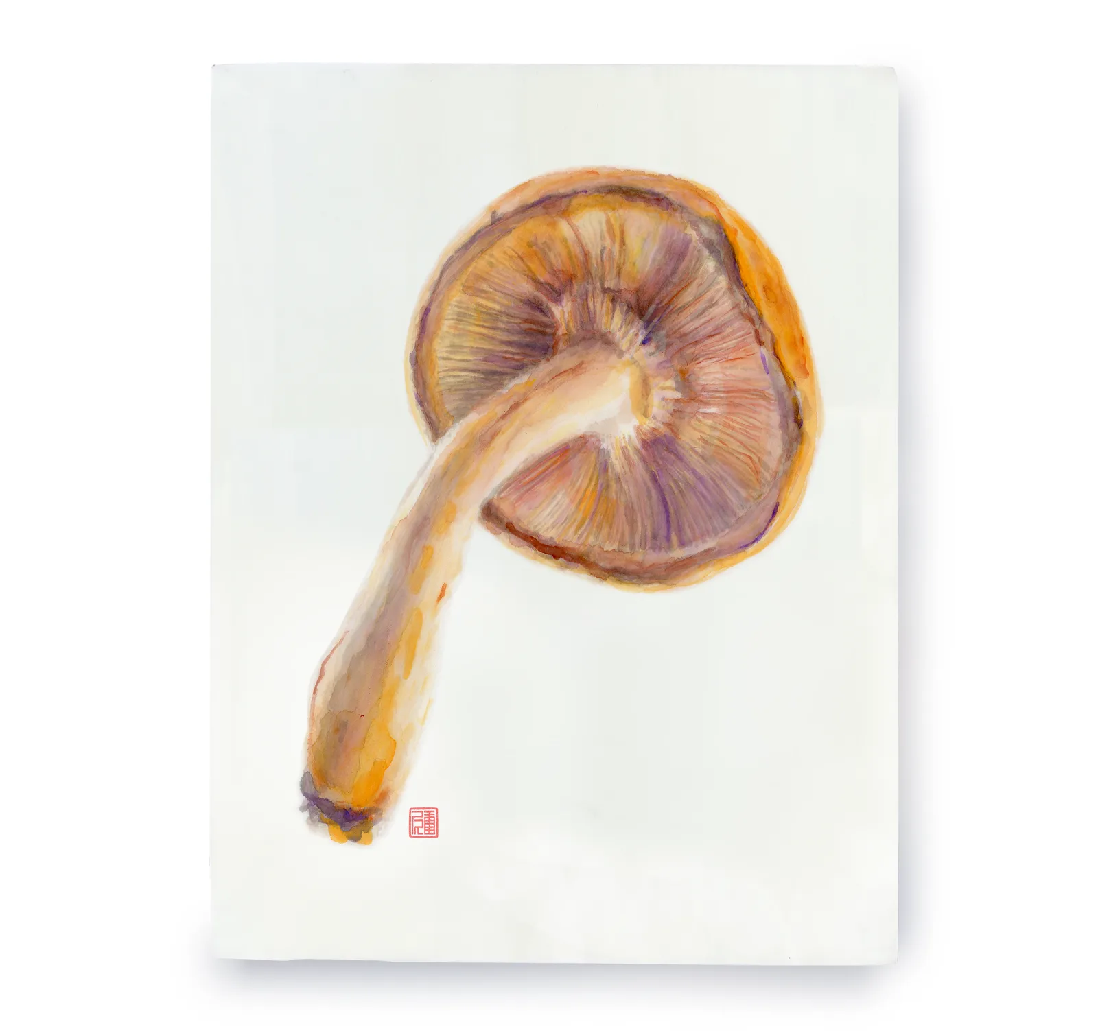 Untitled artwork by Connie Luebbert