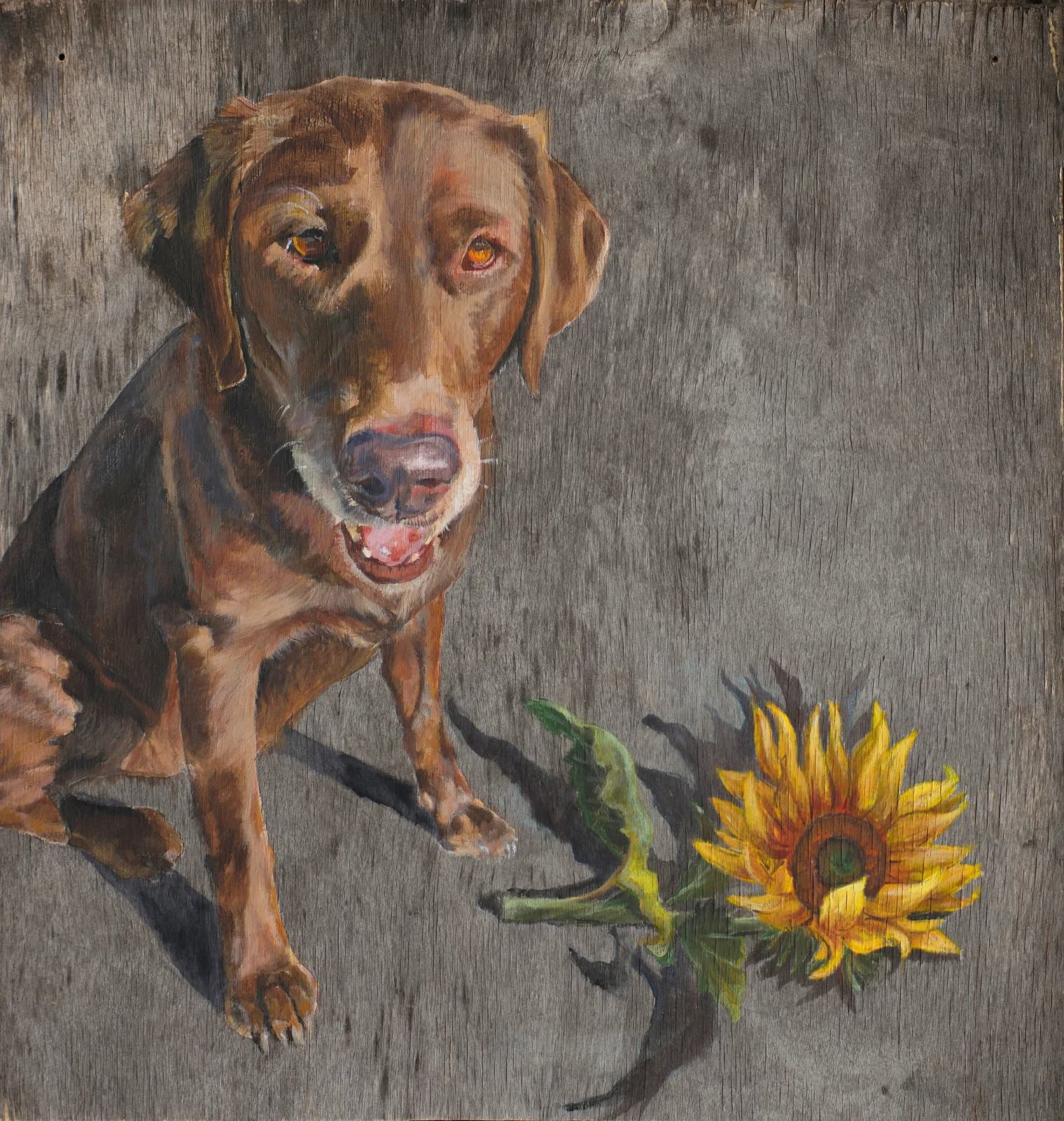 Chocolate Labrador Retriever with sunflower rendered in oil paint against a weathered gray background.