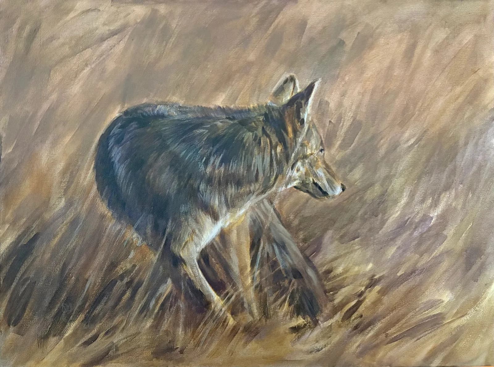 A coyote trots through golden grassland in oil paint, rendered with dynamic brushwork.