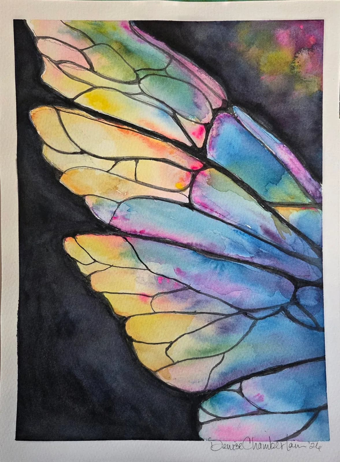 Butterfly wings rendered in watercolor with gradient washes from yellow and orange to blue and purple.