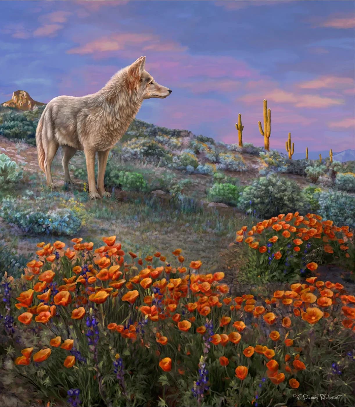 A coyote stands in a desert landscape among blooming orange poppies and purple flowers under a sunset sky.