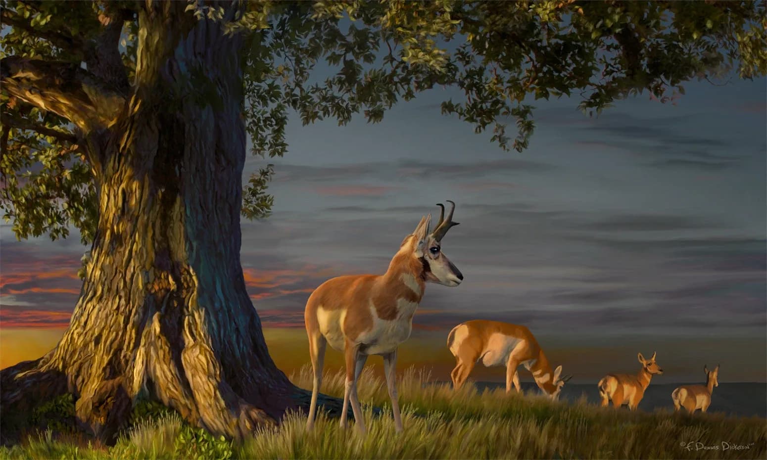 A photorealistic oil painting of pronghorn antelope grazing beneath a gnarled tree at sunset.