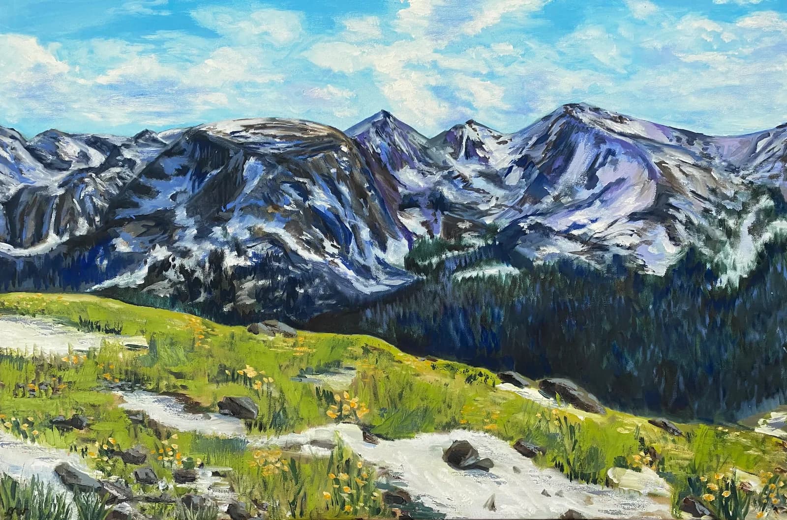 Alpine meadow with snow-capped peaks and forested slopes under a blue, cloud-filled sky.