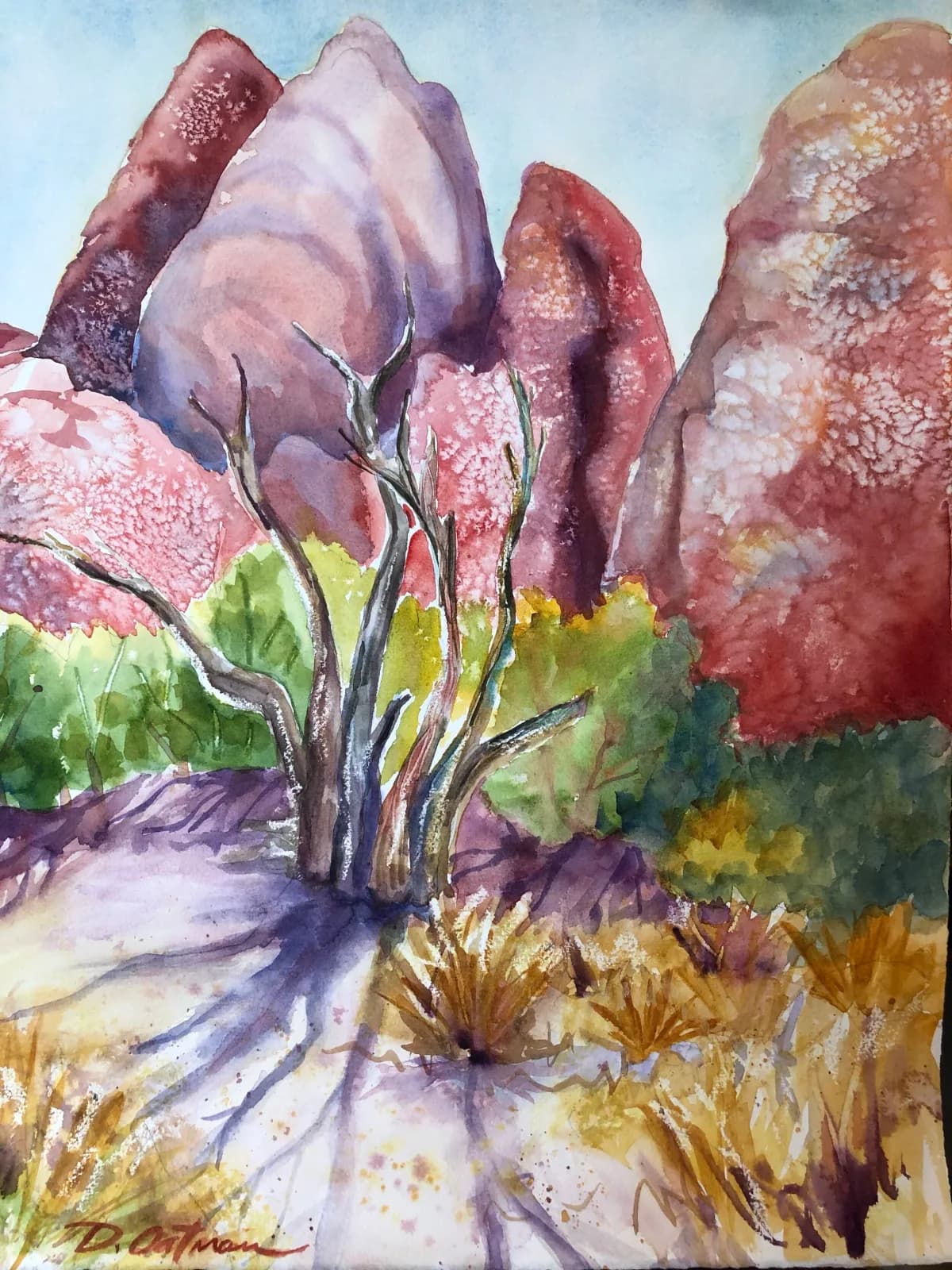 A watercolor landscape of the Boulder Flatirons with desert wildflowers and native vegetation in the foreground.