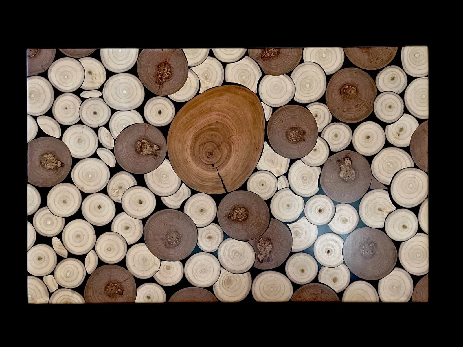 Abstract arrangement of wood slices in varying sizes and tones, emphasizing concentric rings and natural grain patterns.
