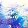 Untitled artwork by Elizabeth McDonough
