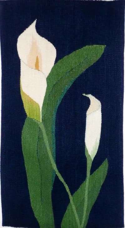 Two white calla lilies with green stems against a dark navy background, rendered in acrylic.