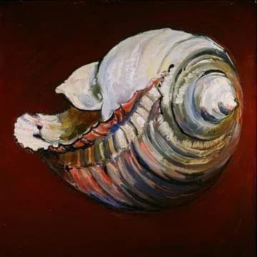 Oil painting of a spiraled seashell rendered in fine detail against a deep burgundy ground.